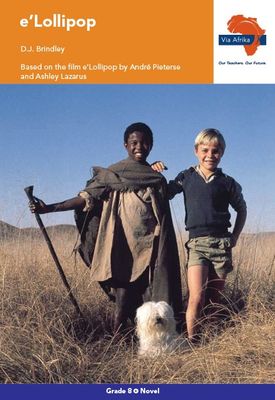 Via Afrika Geografie Graad 11 Leerderboek (Printed book.)