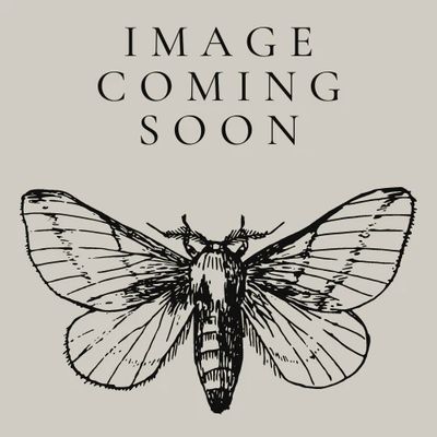 SFA ENGLISH GR R FULL PACK