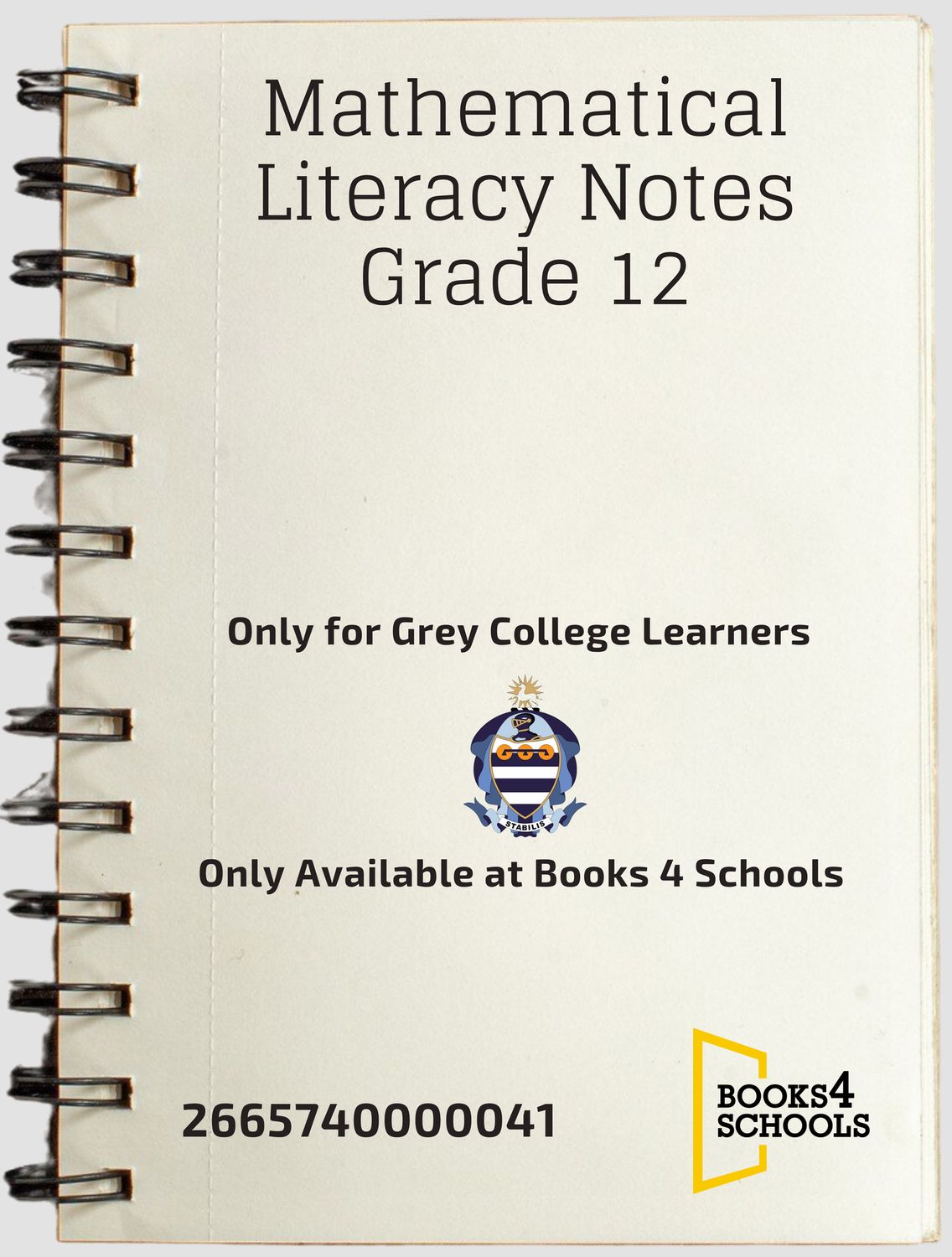 Mathematical Literacy Notes Grade 12 E