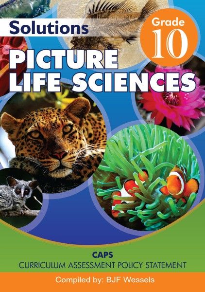 Picture Life Science Gr 10 Answer Book