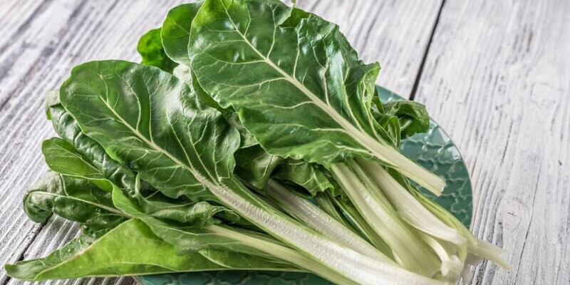Cote de bette verte