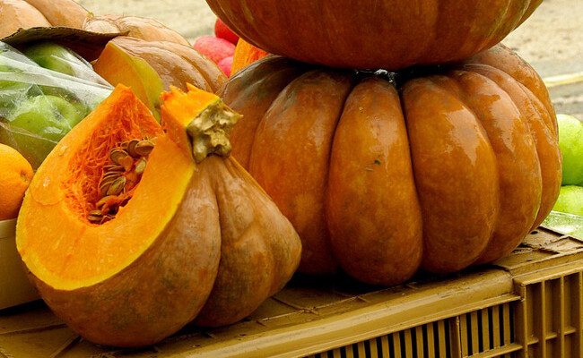 Courge muscade