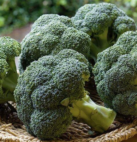 Brocoli