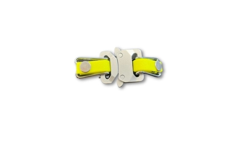 Prong Collar Buckle Attachment