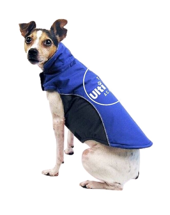 All Weather Dog Coat