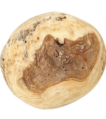 ORGANIC  ROUND CHINESE FIR ROOT ORB