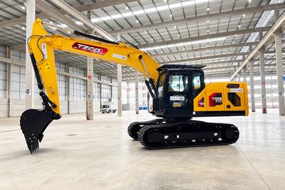 Escavadeira Hidráulica TZCO TZ215 181 hp 23T