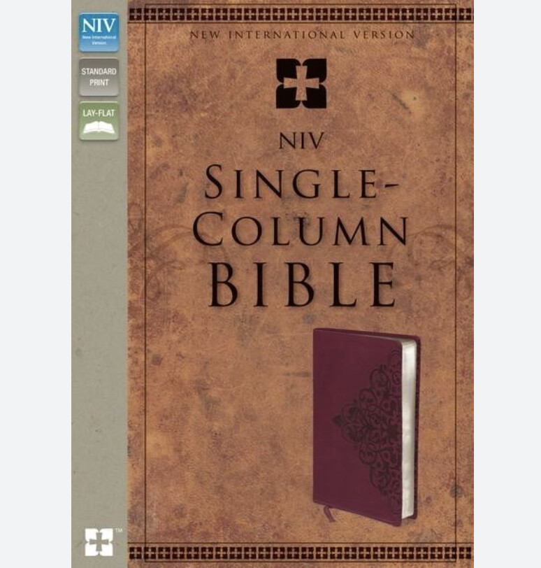 Holy Bible: New International Version, Cranberry, Italian Duo-Tone, Single-Column,