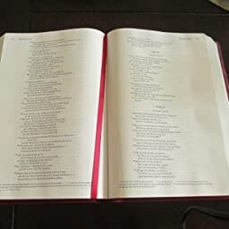 Holy Bible: New International Version, Cranberry, Italian Duo-Tone, Single-Column,