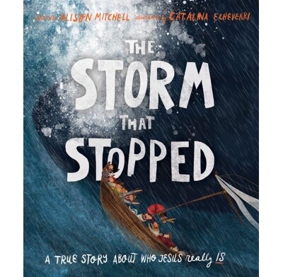 TTTT: The Storm that Stopped: A True Story About Who Jesus Really Is