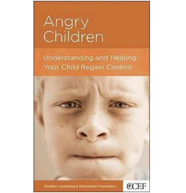 Angry Children: Understanding and Helping your Child Regain Control (NGP: Parenting)