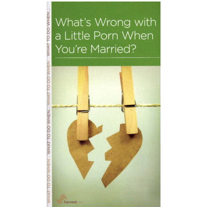 What&#39;s Wrong with a Little Porn When You&#39;re Married? (NGP: Marriage)