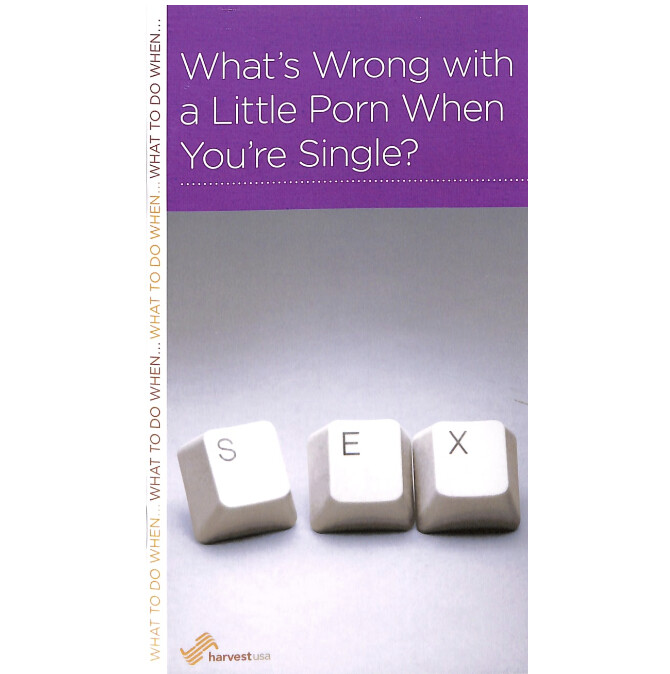 What&#39;s Wrong with a Little Porn When You&#39;re Single? (NGP: Singleness)