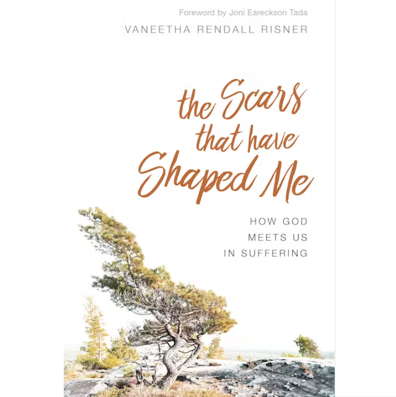The Scars That Have Shaped Me: How God Meets Us in Suffering