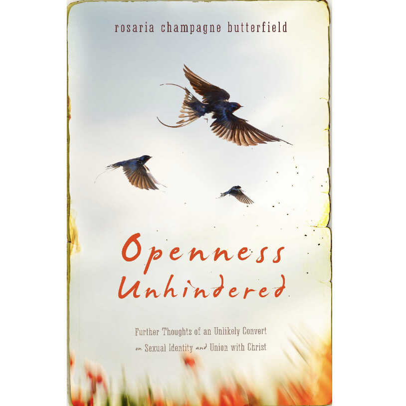 Openness Unhindered: Further Thoughts of an Unlikely Convert on Sexual Identity and Union with Christ