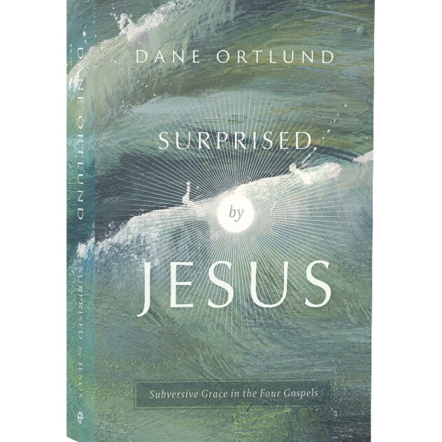 Surprised By Jesus: Subversive Grace in the Four Gospels