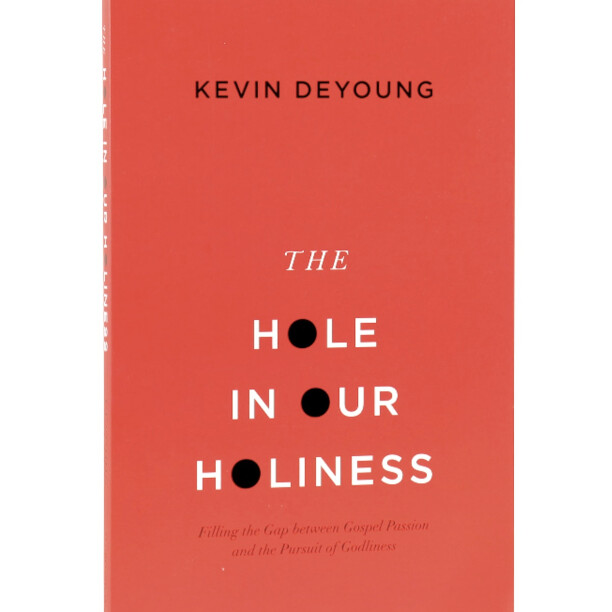 The Hole in Our Holiness: Filling the Gap between Gospel Passion and the Pursuit of Godliness (Paperback Edition)