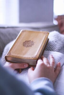 Bible Reading and Devotional