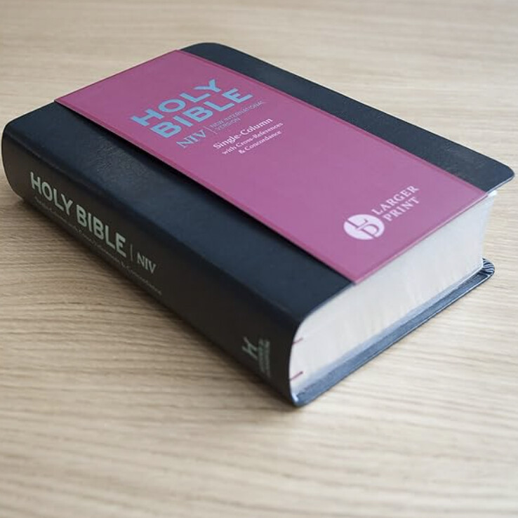 NIV Larger Print Compact Single Column Reference Bible