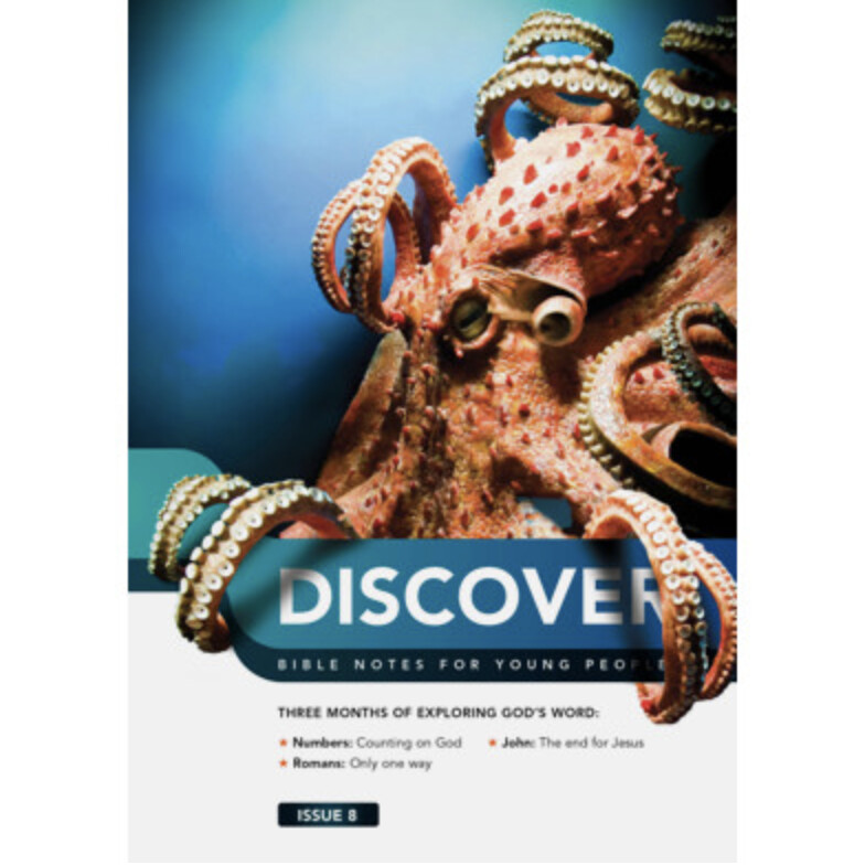 Discover: Book 8 - Numbers, Deuteronomy, Romans, John