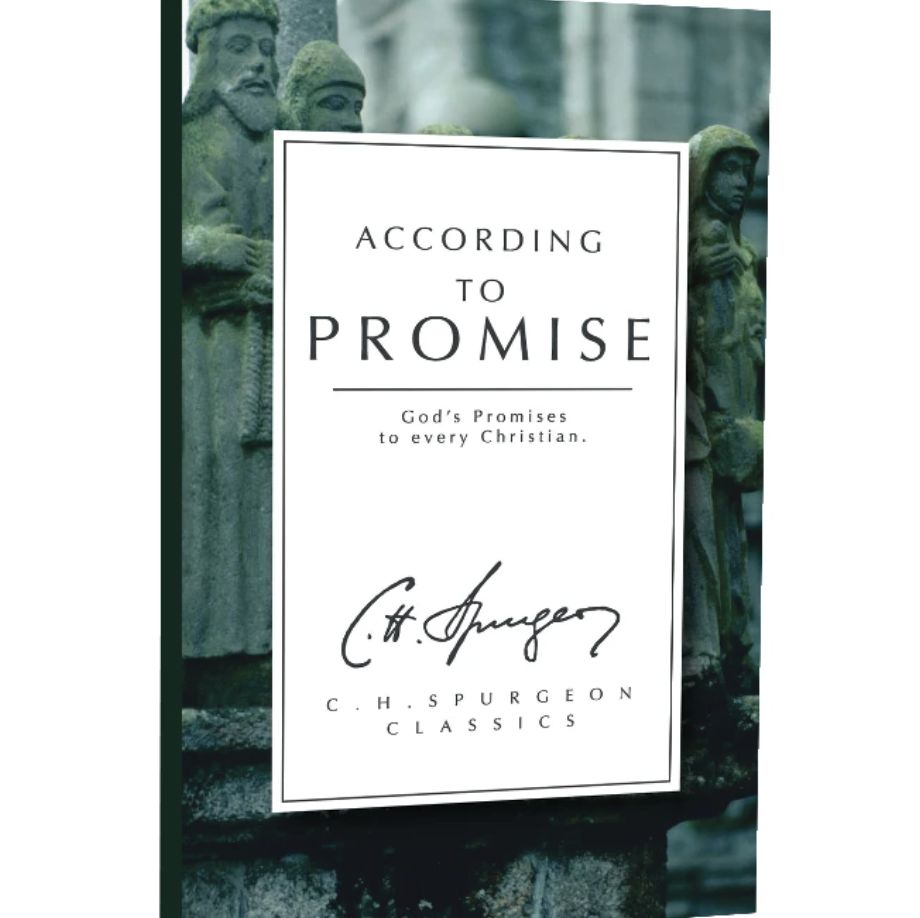 According to Promise: God's Promises to Every Christian (Christian Heritage Series)