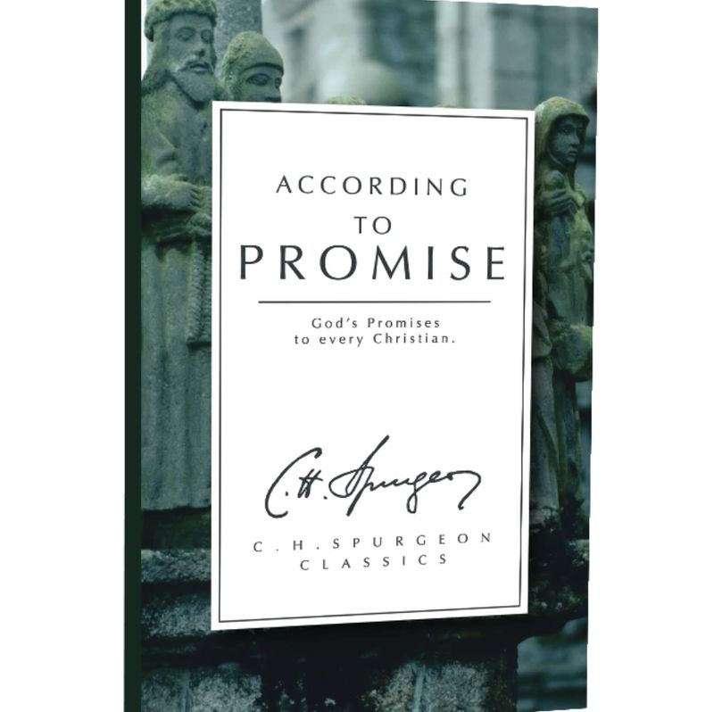 According to Promise: God&#39;s Promises to Every Christian (Christian Heritage Series)