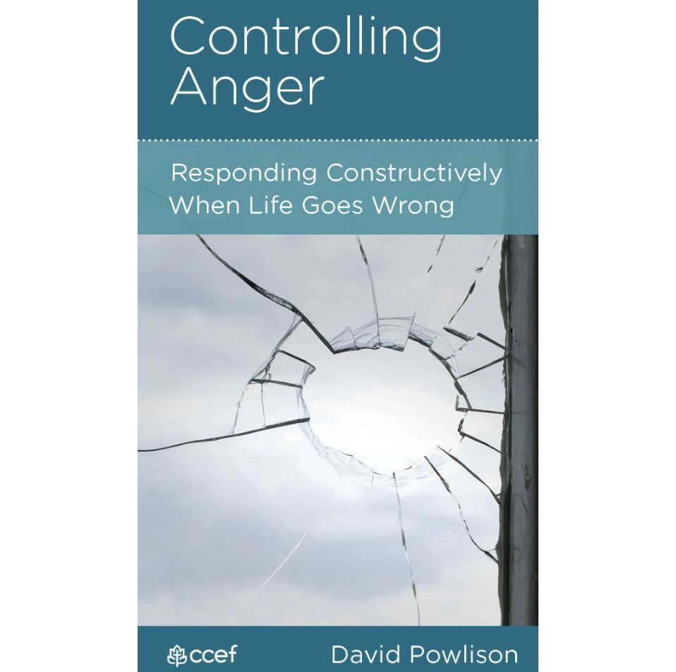Controlling Anger: Responding Constructively When Life Goes Wrong (NGP: Personal Growth)