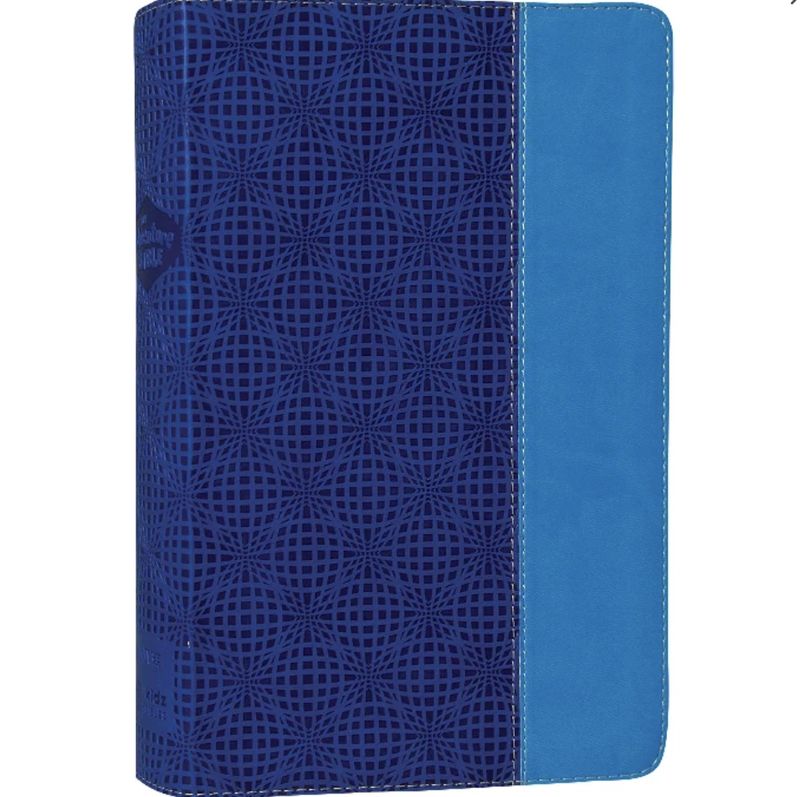 NIV Adventure Bible Electric Blue Ocean Blue (Black Letter Edition)