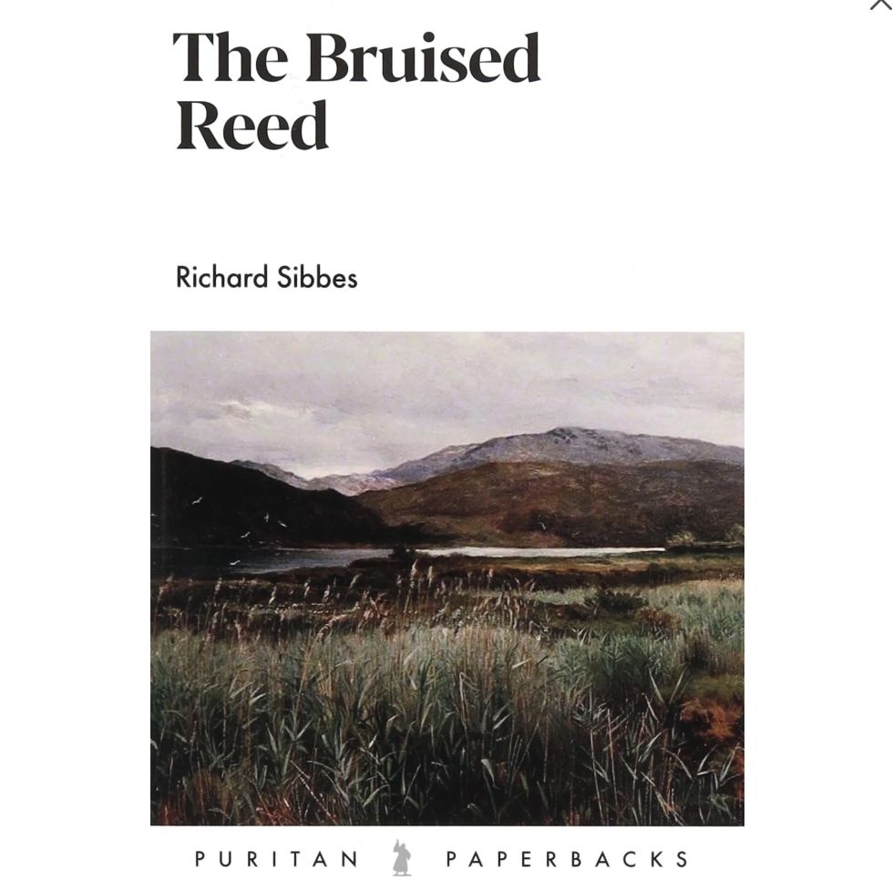 The Bruised Reed