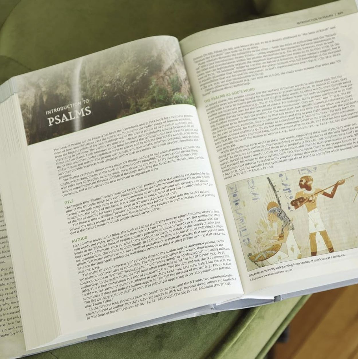 NIV Biblical Theology Study Bible (Black Letter Edition)