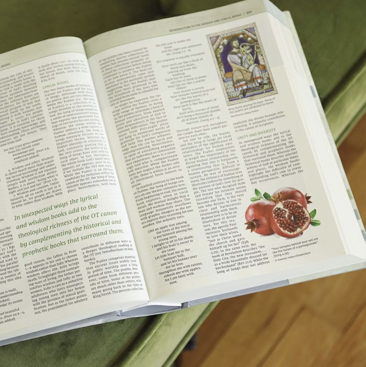 NIV Biblical Theology Study Bible (Black Letter Edition)