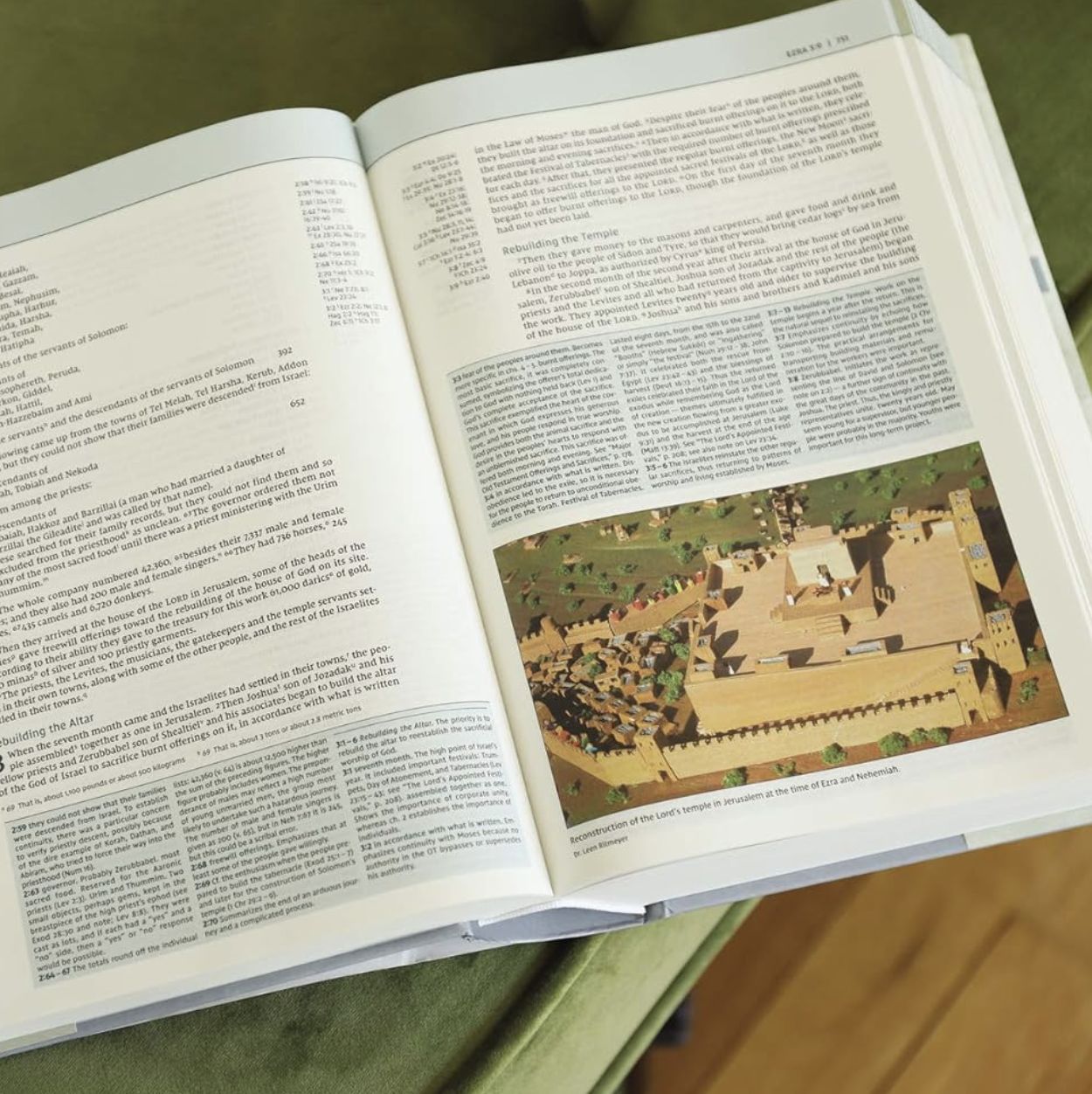 NIV Biblical Theology Study Bible (Black Letter Edition)