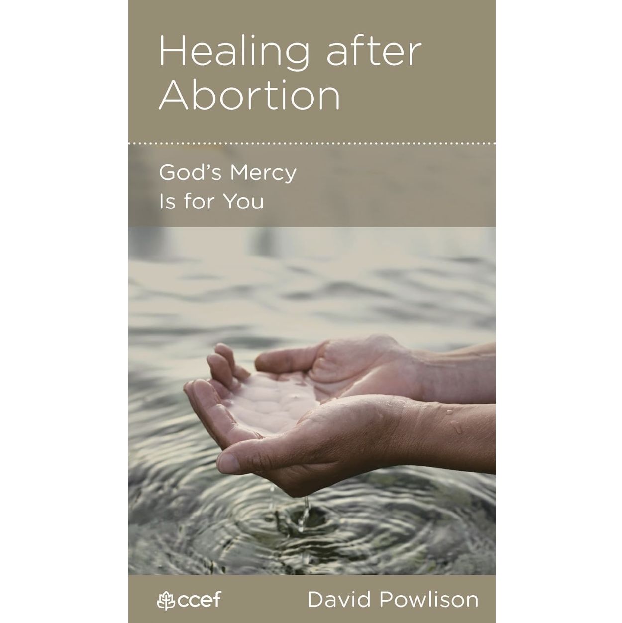 Healing After Abortion: God&#39;s Mercy  Is for You (NGP: Women)