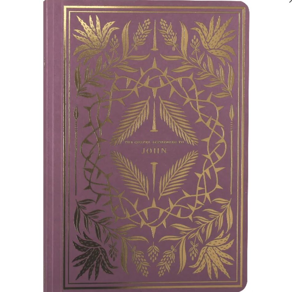 ESV Illuminated Scripture Journal: John