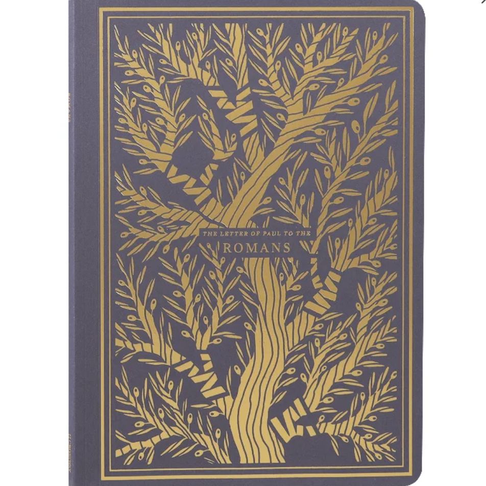 ESV Illuminated Scripture Journal:  Romans