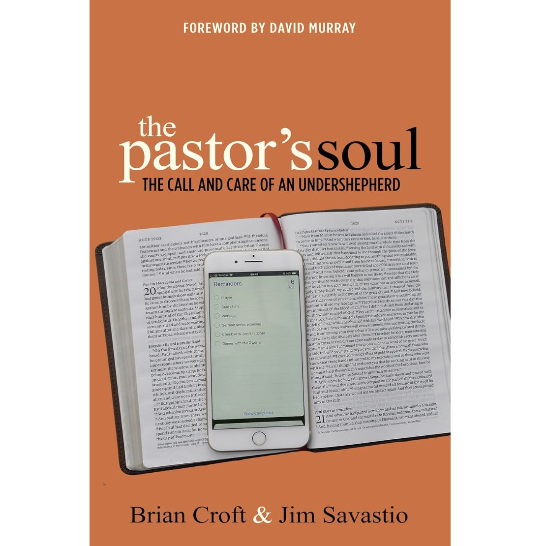 The Pastor&#39;s Soul: The Call and Care of an Undershepherd