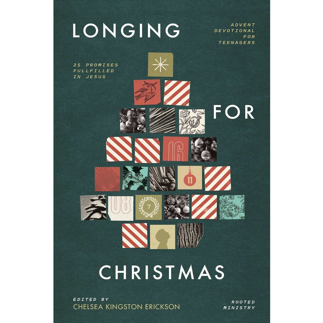 Longing for Christmas: 25 Promises Fulfilled in Jesus, Advent Devotional for Teenagers