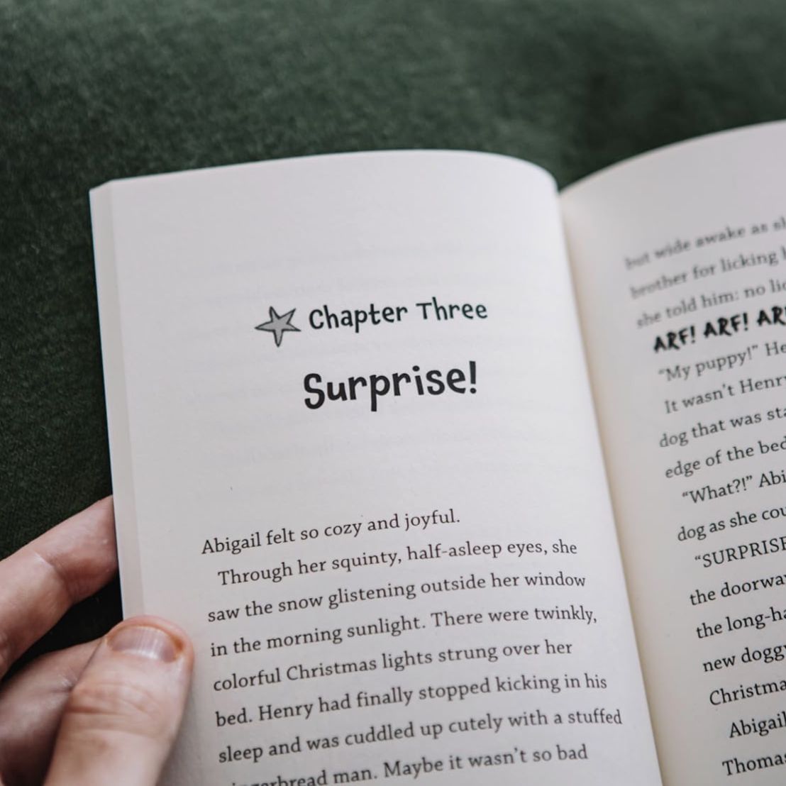 Abigail and the Christmas Contest: Cousins + Snow + a Big Shiny Trophy = Christmas Chaos!