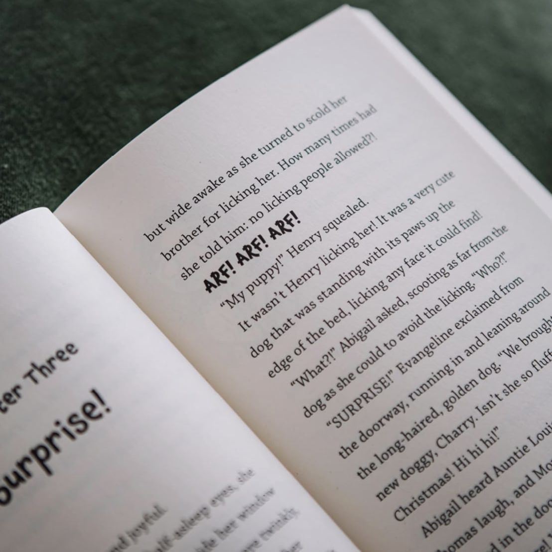 Abigail and the Christmas Contest: Cousins + Snow + a Big Shiny Trophy = Christmas Chaos!