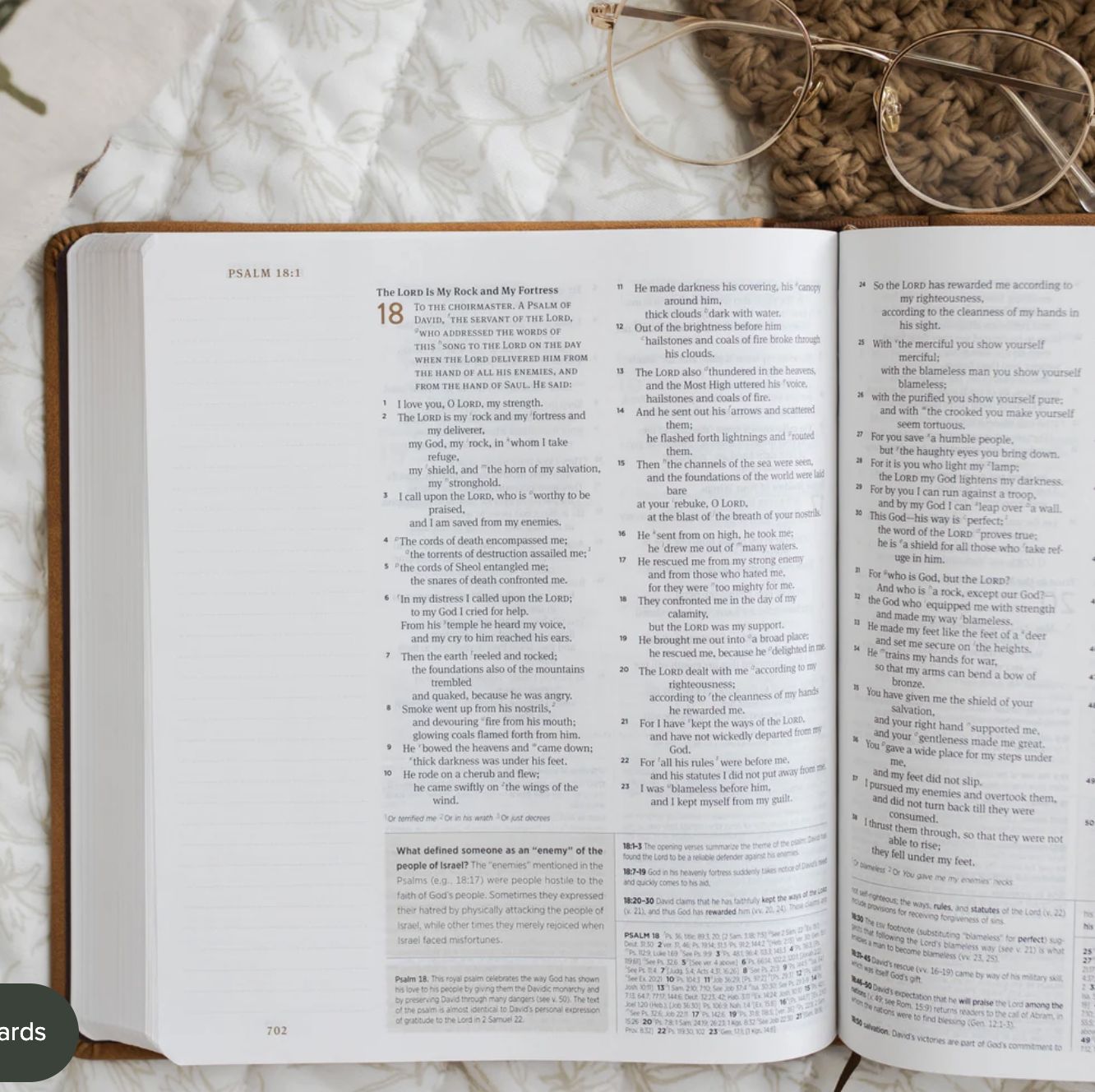 ESV Journaling Study Bible (TruTone over Board, Nubuck Caramel)