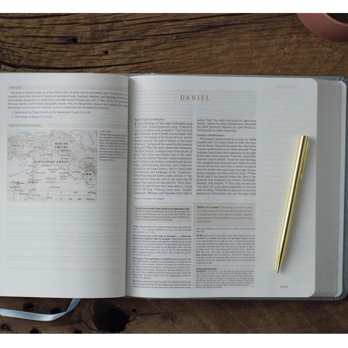 ESV Journaling Study Bible (TruTone over Board, Paris Sky, Fleur-de-lis Design)