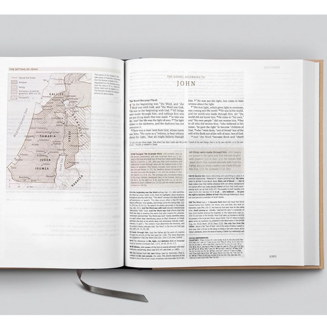 ESV Journaling Study Bible (Cloth over Board, Blush/Ochre, Floral Design)