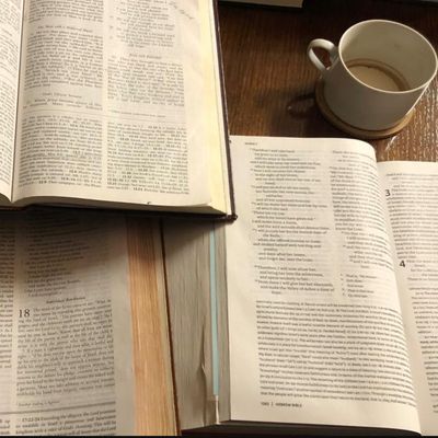 Reference and Study Bibles