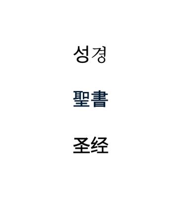 Other Language/Bilingual Bibles