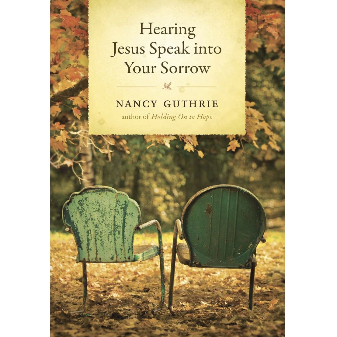 Hearing Jesus Speak into Your Sorrow