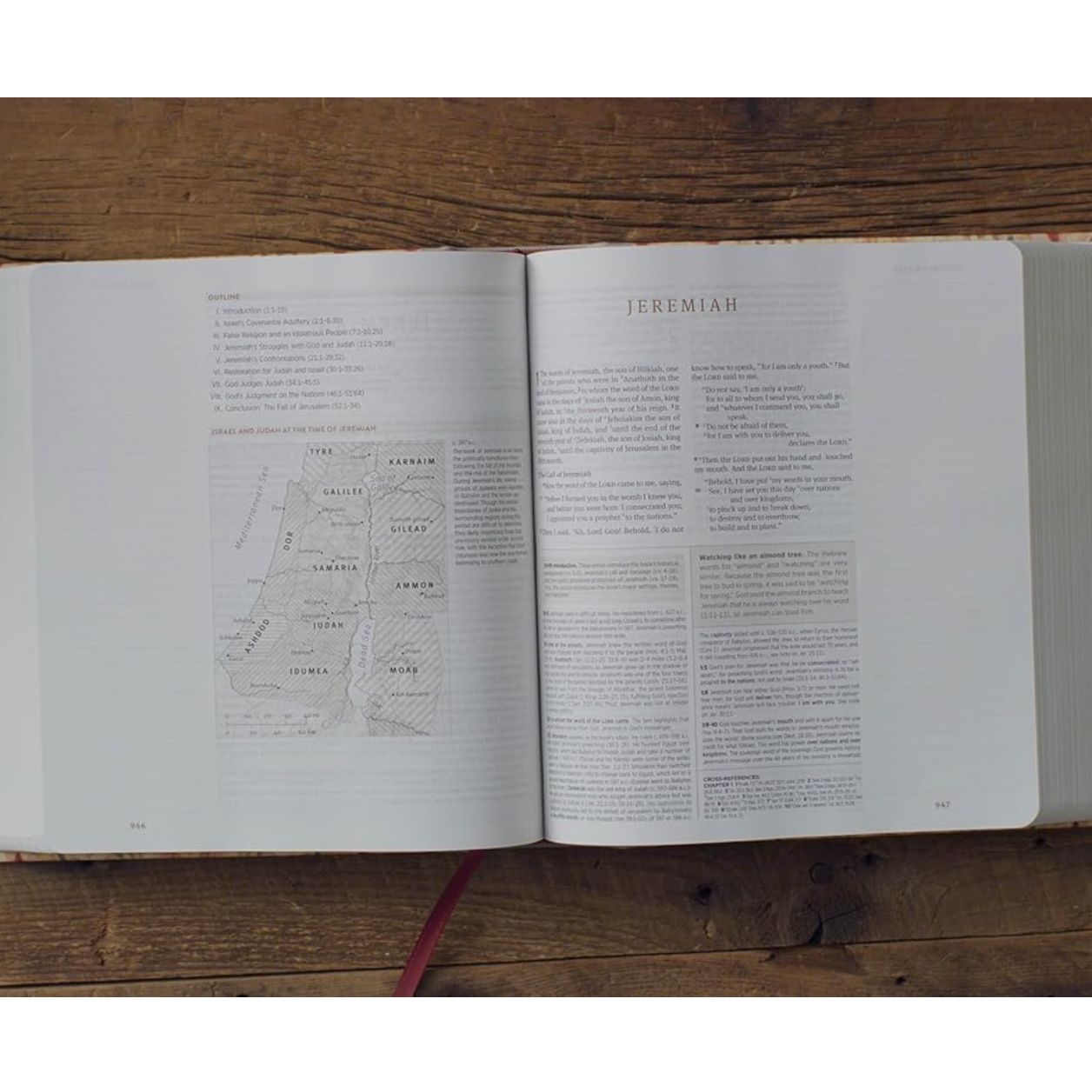 ESV Journaling Study Bible, Artist Series (Cloth over Board, Jessica Dennis Bush, Vivienne)