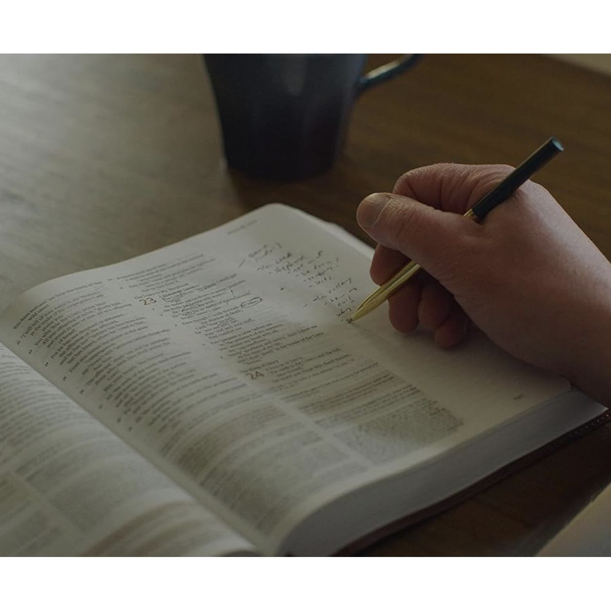 ESV Journaling Study Bible (TruTone, Brown/Chestnut, Timeless Design)