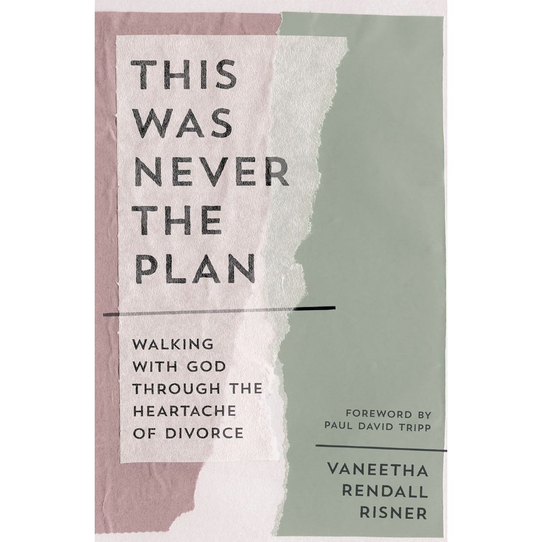 This Was Never the Plan: Walking with God Through the Heartache of Divorce