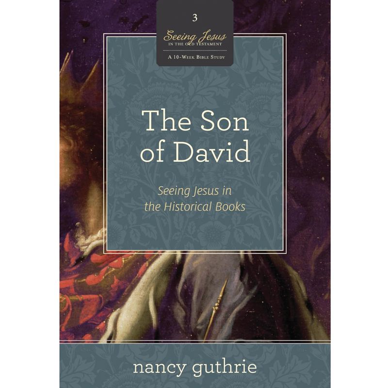 The Son of David: Seeing Jesus in the Historical Books (#03 in the Seeing Jesus in the Old Testament series)