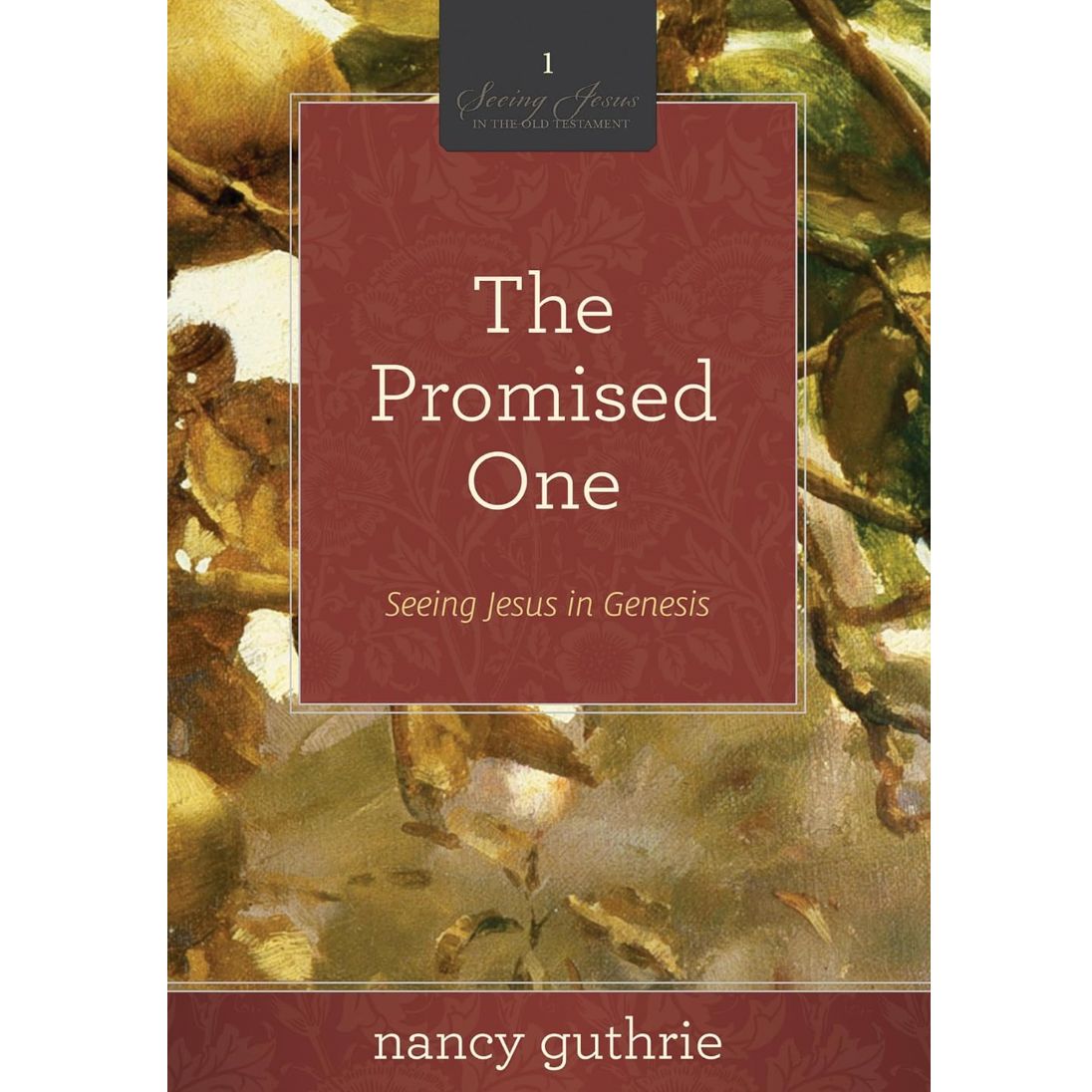 The Promised One: Seeing Jesus in Genesis (#01 in the Seeing Jesus in the Old Testament series)